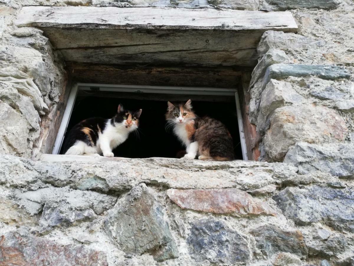 Vorderwiesgut Altenmarkt im Pongau Buitenkant foto