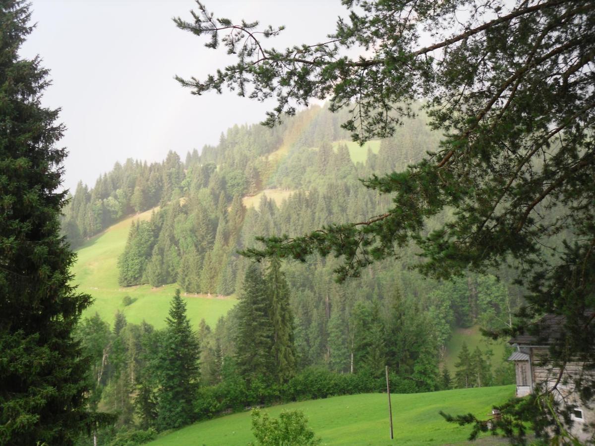 Vorderwiesgut Altenmarkt im Pongau Buitenkant foto